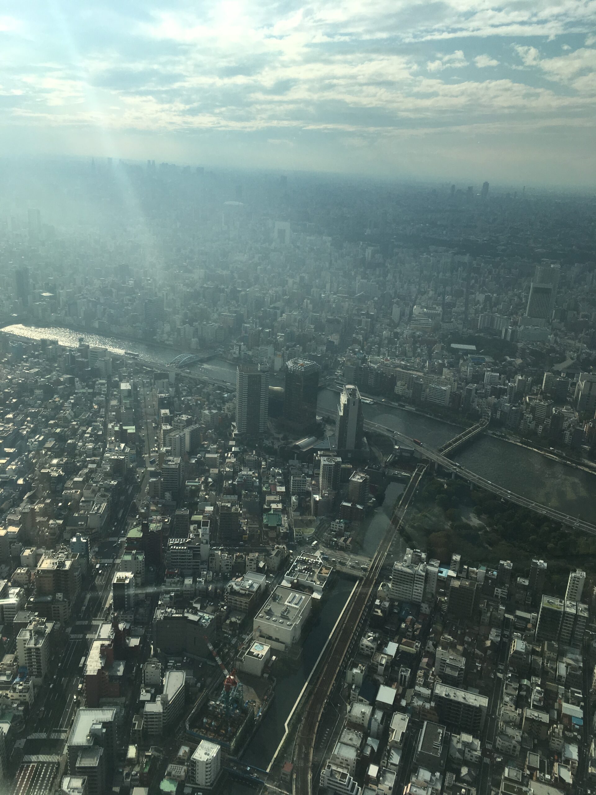 Tokyo One Piece Tower
