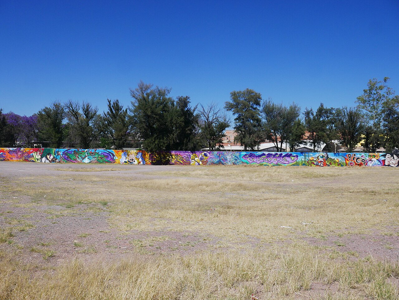 Mural de Dragon Ball Z en una calle de Aguascalientes 02