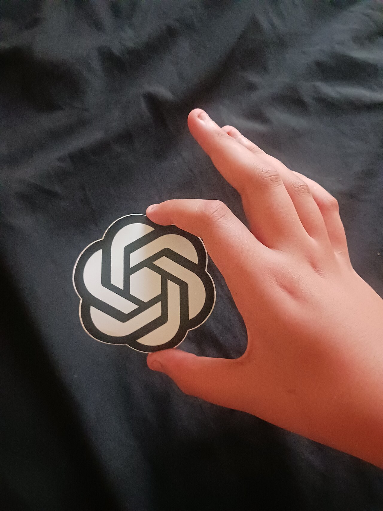 Person holding the OpenAI icon
