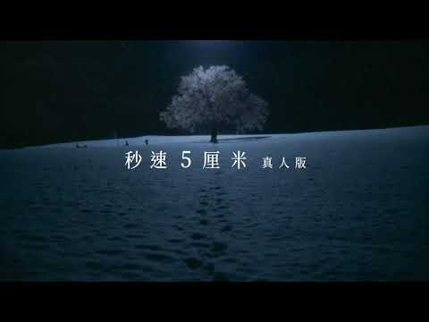 5 Centimeters Per Second: Clássico de Makoto Shinkai retorna aos cinemas hoje